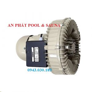 Máy thổi khí Coast HCY1100C