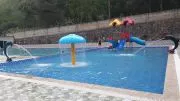 Cá heo phun nước bể bơi