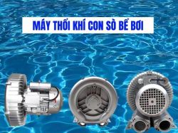 Nên chọn máy thổi khí Kripsol hay Coast tốt hơn